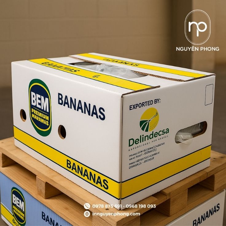 Kiểu dáng phổ biến của thùng carton đựng chuối